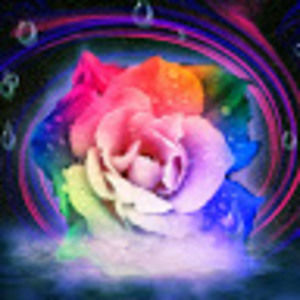 Meet your Posher, Teresa